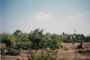 09-12-2020_21283 DROGA MIĘDZY PHNOM PHEN A PURSAT