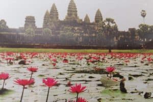 125530416_726832464584789_6409298045565778073_n