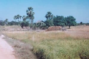 125777818_816549545831270_234608350142784019_n