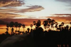 17362631_398363903857925_4538337017391173394_n