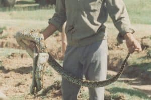 20424161_10212612709786227_63957443325813675_o