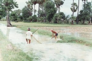 20424324_10212612711546271_1099639376945525190_o