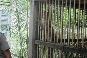 21055891_1523573697707672_960707610397894190_o