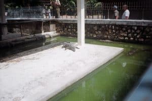 21056141_1523573577707684_5946780011318076160_o