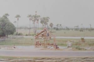 21078301_1908695849457190_1684442735608436897_n