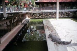 21167401_1523573087707733_209913067207440187_o