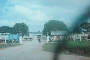 59952200_113940249814205_5056333691840626688_o