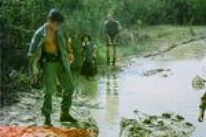 60871315_2451442131752621_7286939349453635584_o