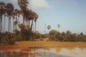 76767494_118735642920710_5593148713431203840_n