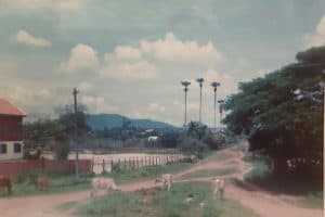 78533291_117157819745159_4154485860709957632_n