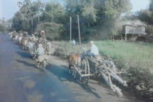 81001979_167985947742968_4132223537681268736_o