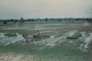 81212980_168116194396610_312748493313671168_o