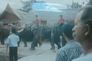 81749650_167984757743087_9010063924912979968_o