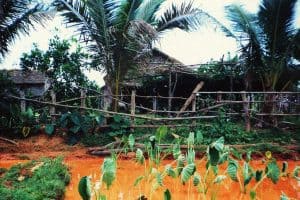 Gospodarstwo koło Phursat