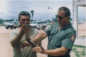 Jeden z węży złapany na terenie naszego obozu Transit Campu pod Phnom Penh przez Roberta pogromcę węży