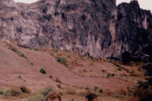 Screenshot_20210404-184631