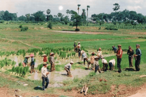 Screenshot_20210408-214941~2