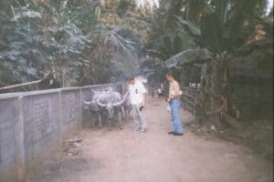 Spotkanie z Bawołem - Pursat