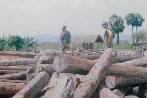 Tartak w okolicach Pursat